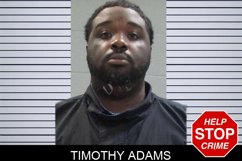 Timothy Adams Mugshots