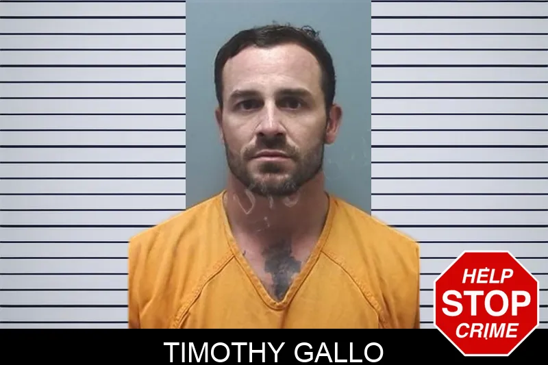 Timothy Gallo mugshot