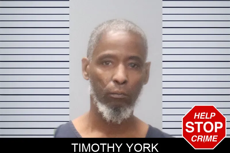 Timothy York Mugshots
