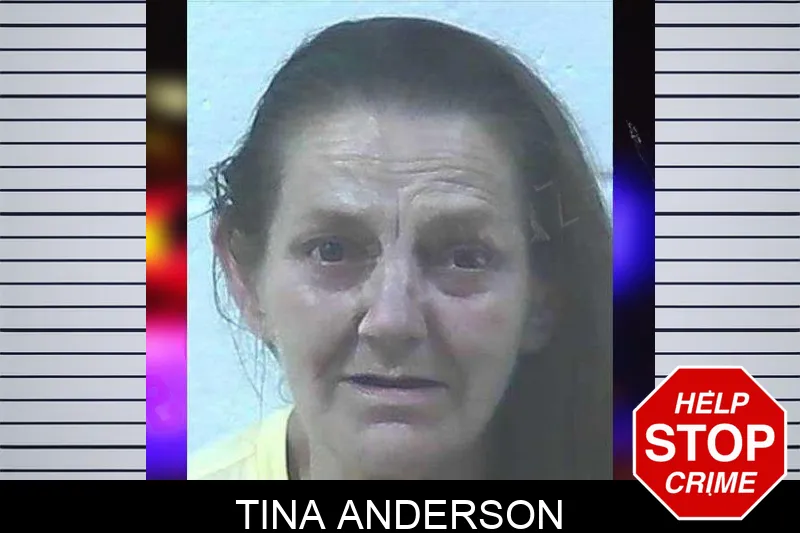 Tina Anderson Mugshots