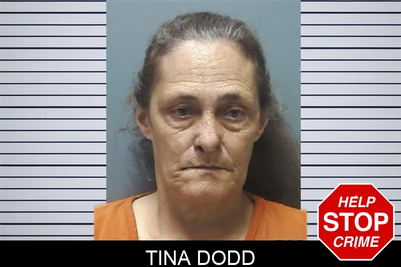 Tina Dodd Mugshots