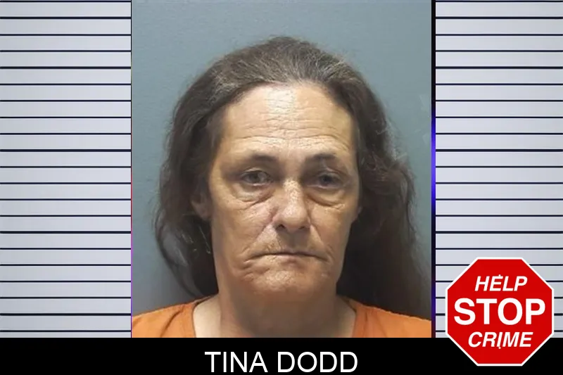 Tina Dodd Mugshots