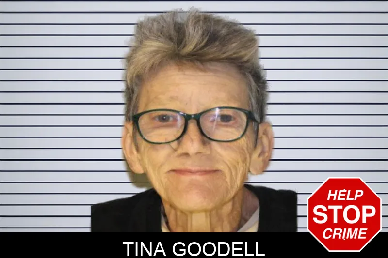 Tina Goodell Mugshots