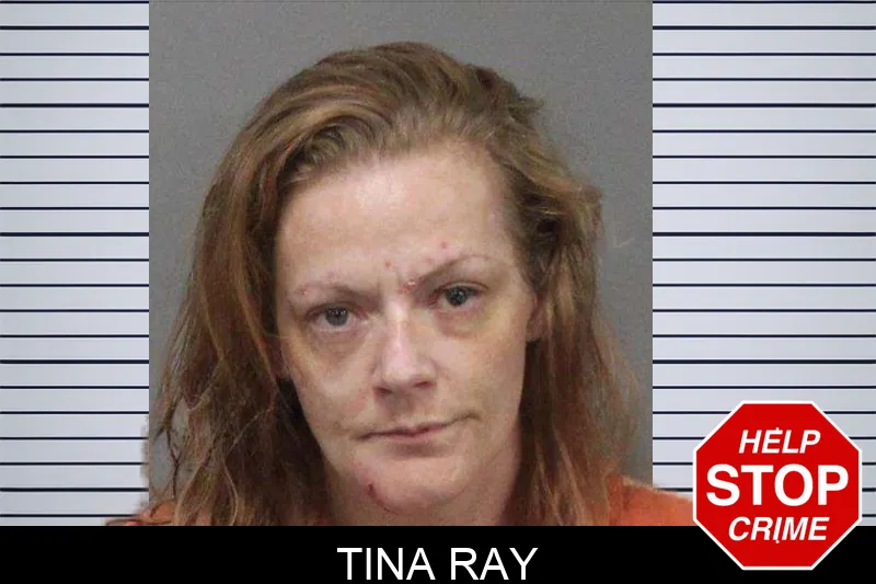 Tina Ray Mugshots