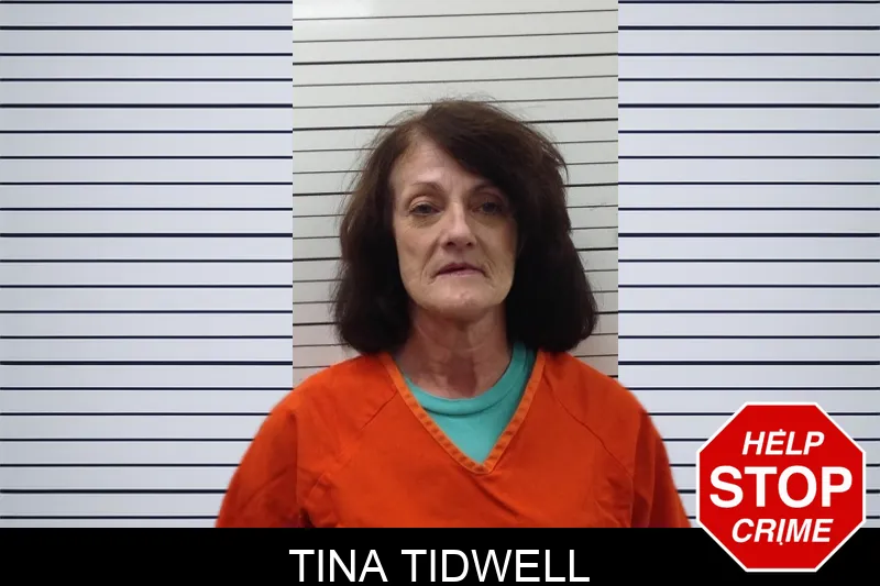 Tina Tidwell Mugshots