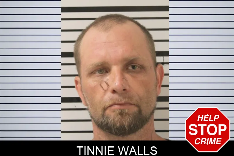 Tinnie Walls Mugshots