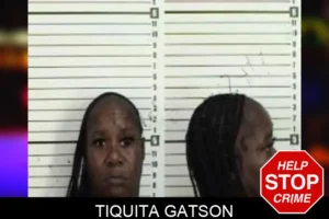 Tiquita Gatson mugshot