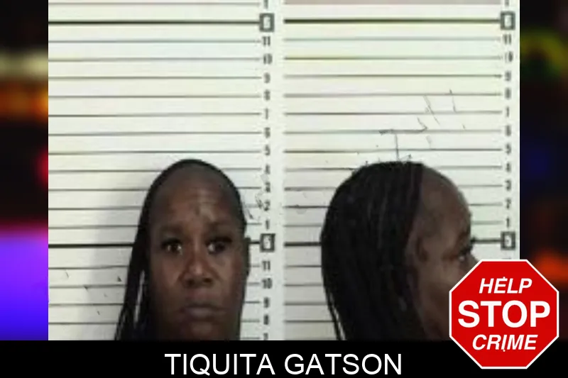 Tiquita Gatson Mugshots