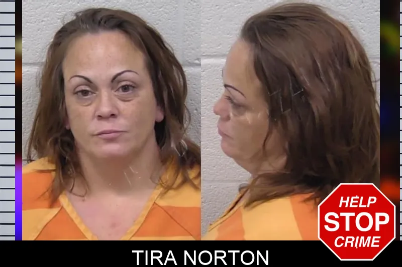 Tira Norton mugshot