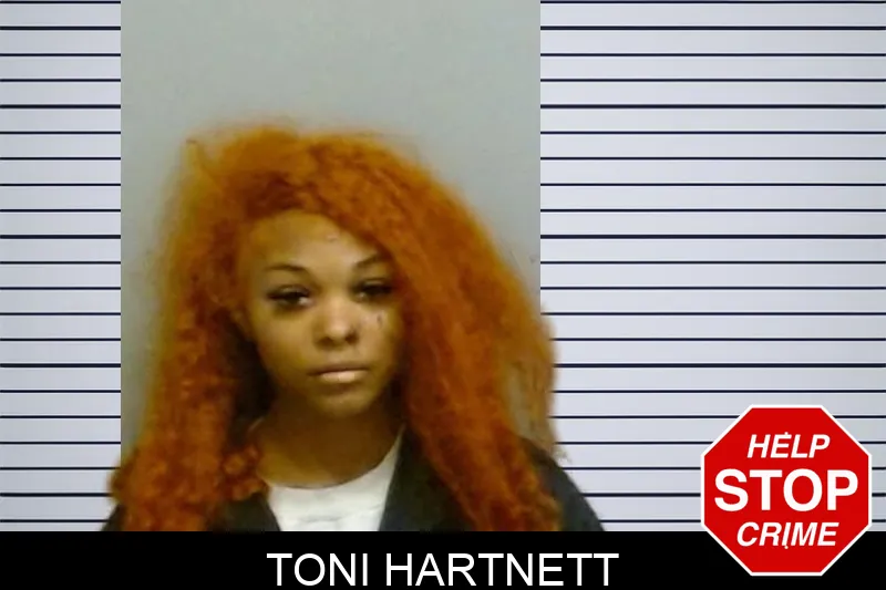 Toni Hartnett Mugshots