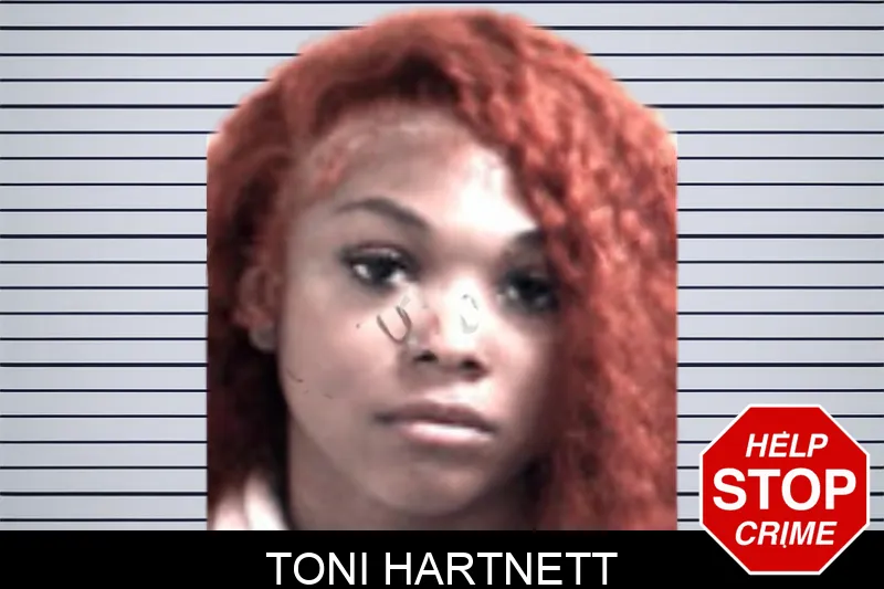 Toni Hartnett Mugshots