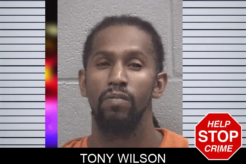 Tony Wilson Mugshots