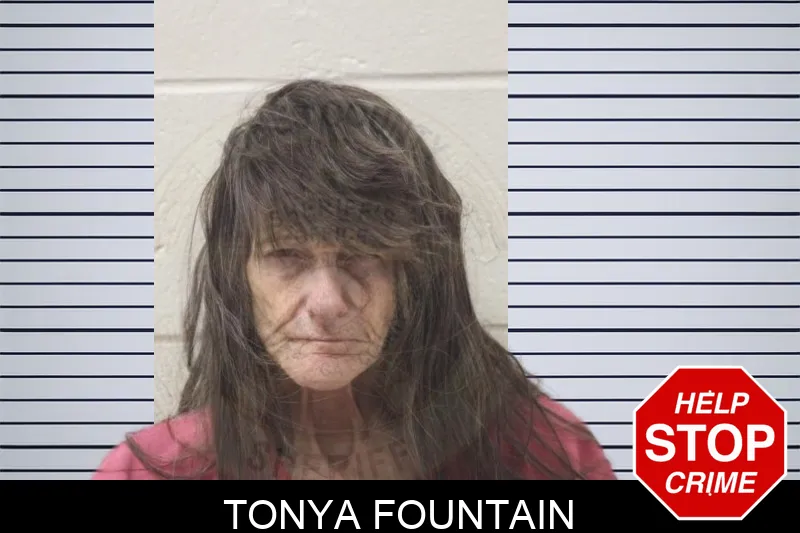 Tonya Fountain Mugshots