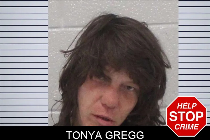 Tonya Gregg Mugshots
