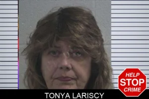 Tonya Lariscy mugshot