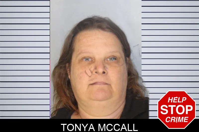 Tonya McCall mugshot – Hall County , Georgia Tonya McCall mugshot