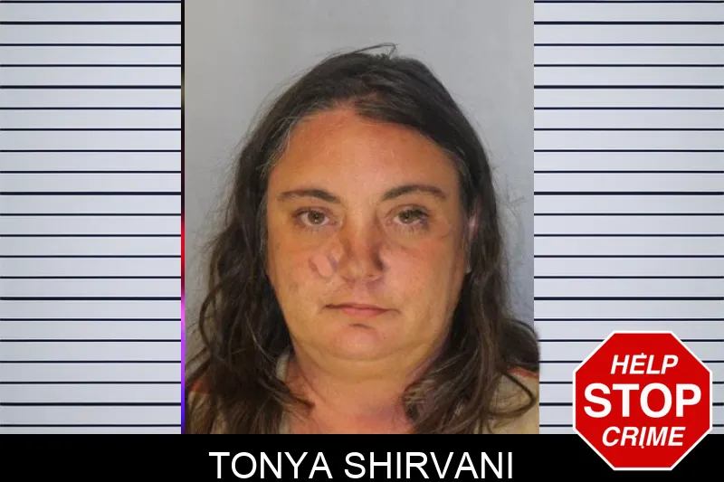 Tonya Shirvani mugshot – Hall County , Georgia Tonya Shirvani mugshot