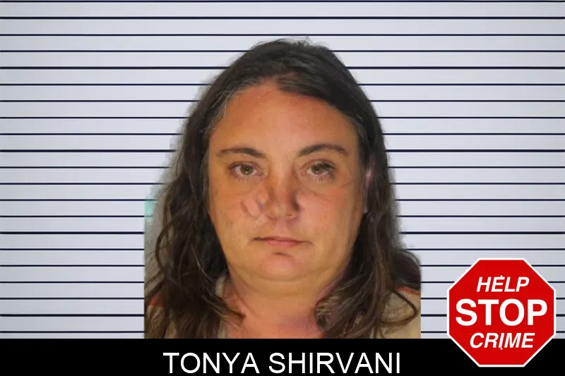 Tonya Shirvani Mugshots