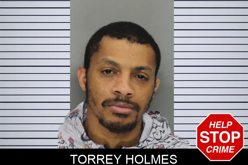 Torrey Holmes mugshot