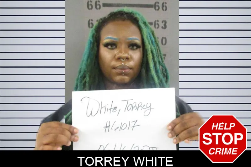 Torrey White Mugshots