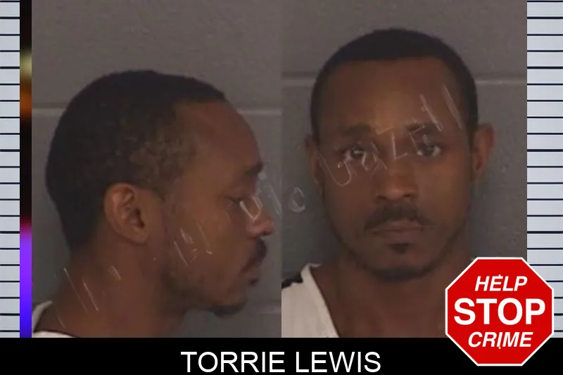 Torrie Lewis Mugshots