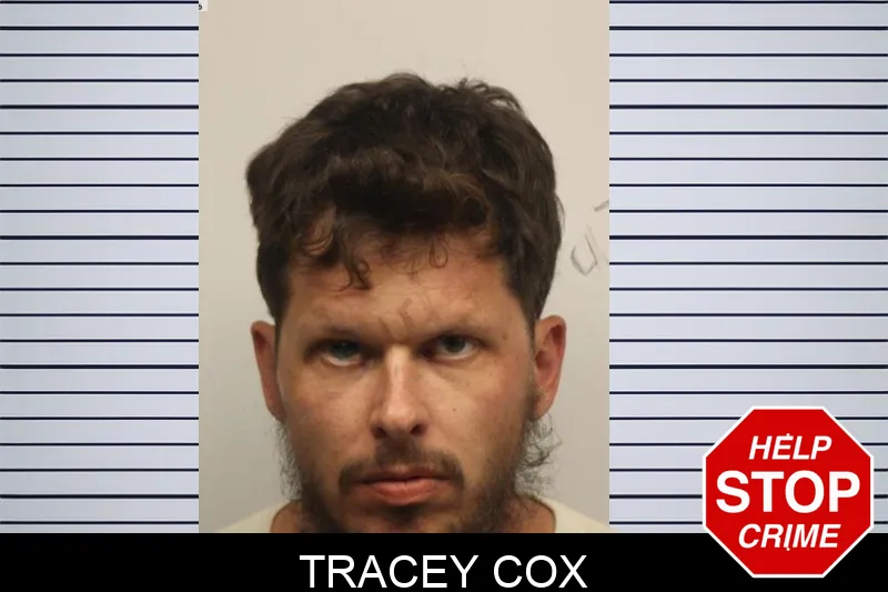 Tracey Cox mugshot – Chatham County , Georgia Tracey Cox mugshot