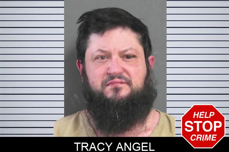 Tracy Angel Mugshots