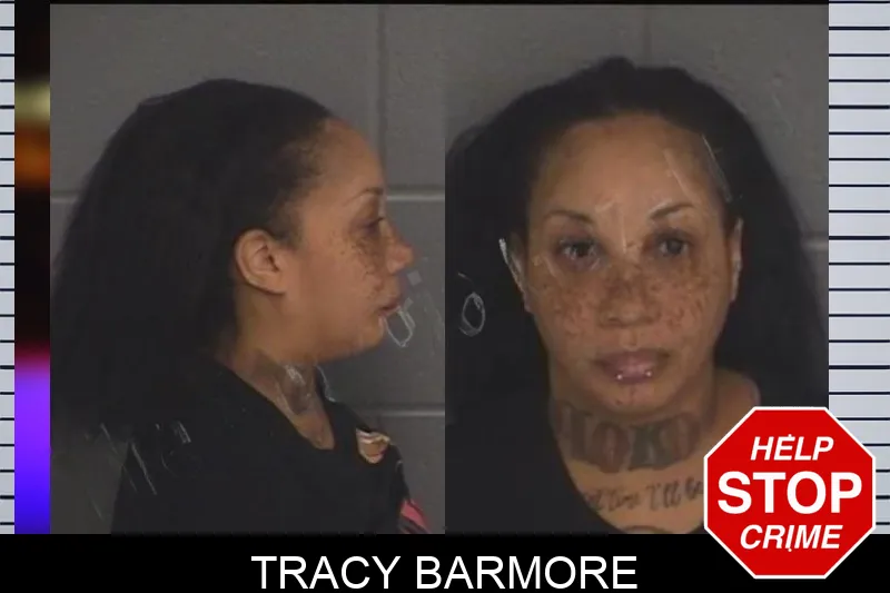 Tracy Barmore Mugshots