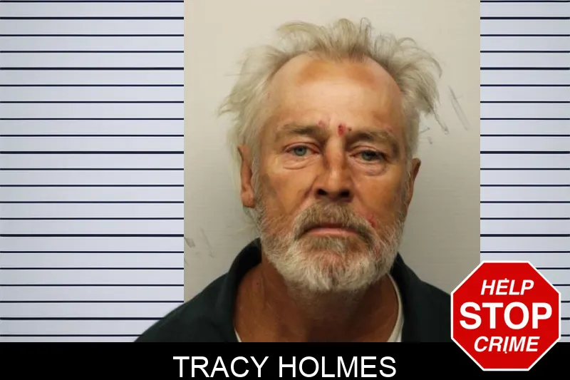 Tracy Holmes Mugshots