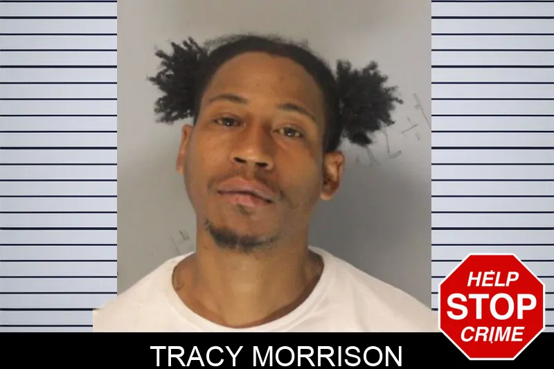 Tracy Morrison Mugshots