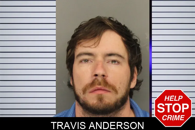 Travis Anderson mugshot
