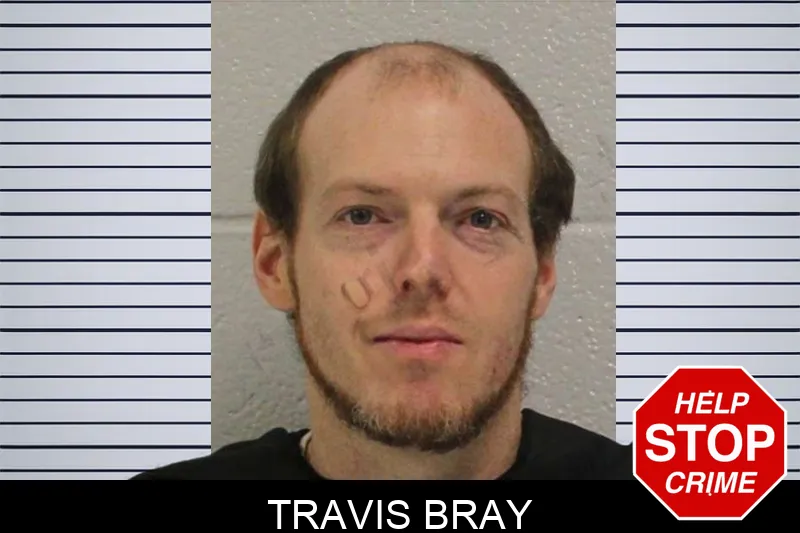Travis Bray mugshot