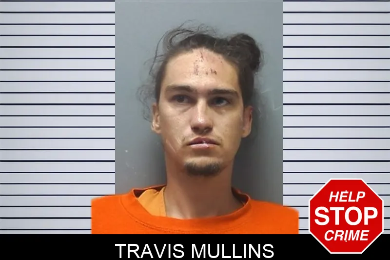 Travis Mullins mugshot – Cherokee County , Georgia Travis Mullins mugshot