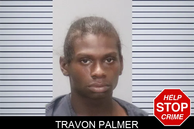 Travon Palmer mugshot