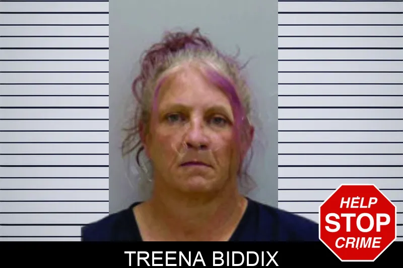 Treena Biddix mugshot