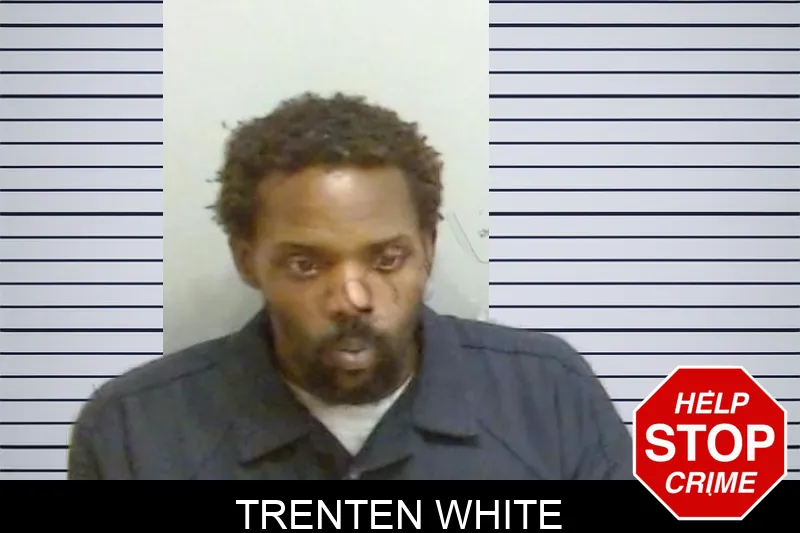 Trenten White mugshot