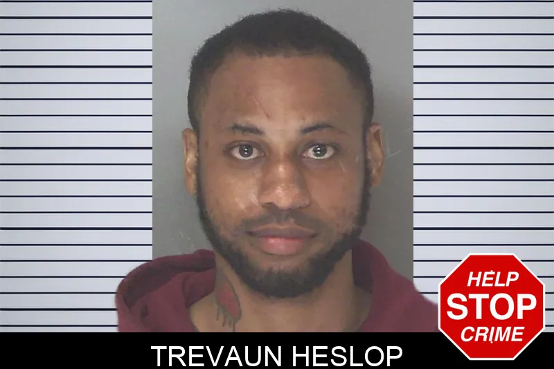 Trevaun Heslop mugshot – Douglas County , Georgia Trevaun Heslop mugshot