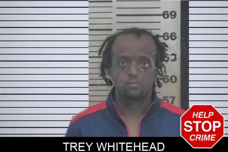 Trey Whitehead mugshot – Coffee County , Georgia Trey Whitehead