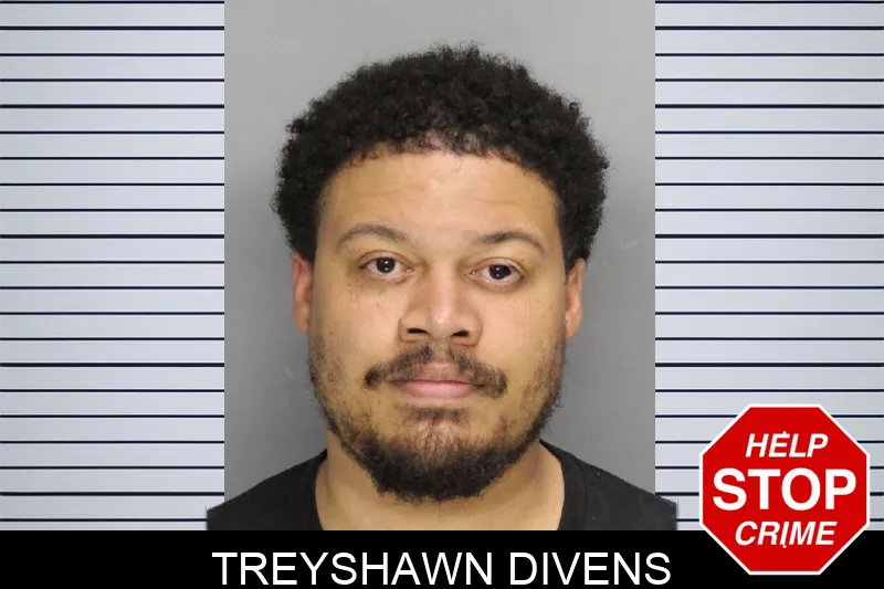 Treyshawn Divens mugshot