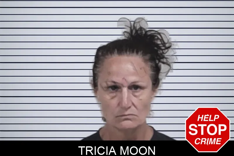 Tricia Moon Mugshots