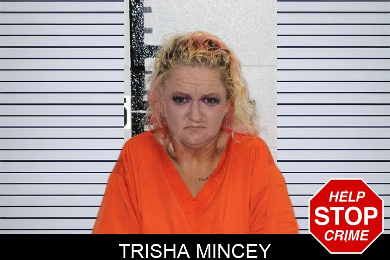 Trisha Mincey Mugshots
