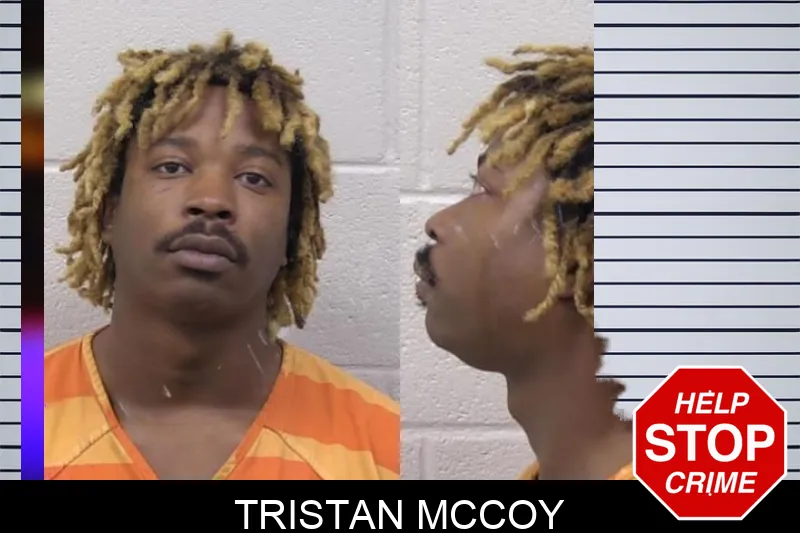Tristan McCoy mugshot – Paulding County , Georgia Tristan McCoy mugshot
