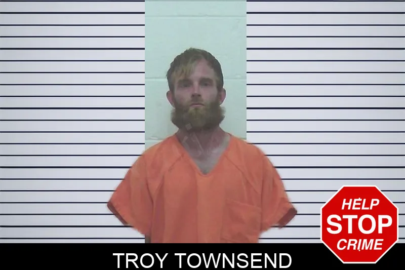 Troy Townsend Mugshots