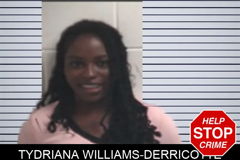 Tydriana Williams-Derricotte Mugshots