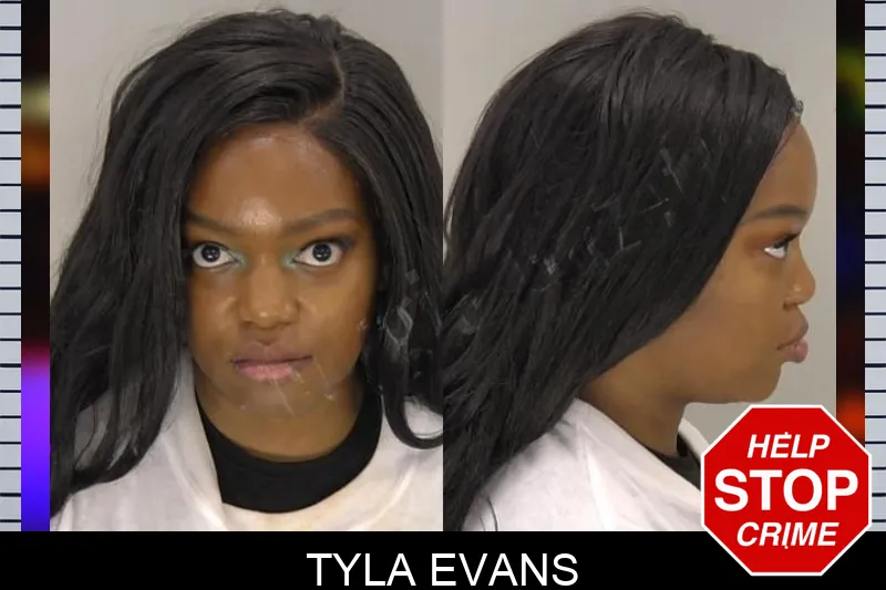 Tyla Evans Mugshots