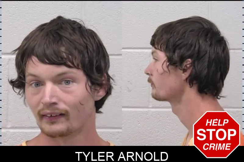 Tyler Arnold mugshot – Paulding County , Georgia Tyler Arnold mugshot