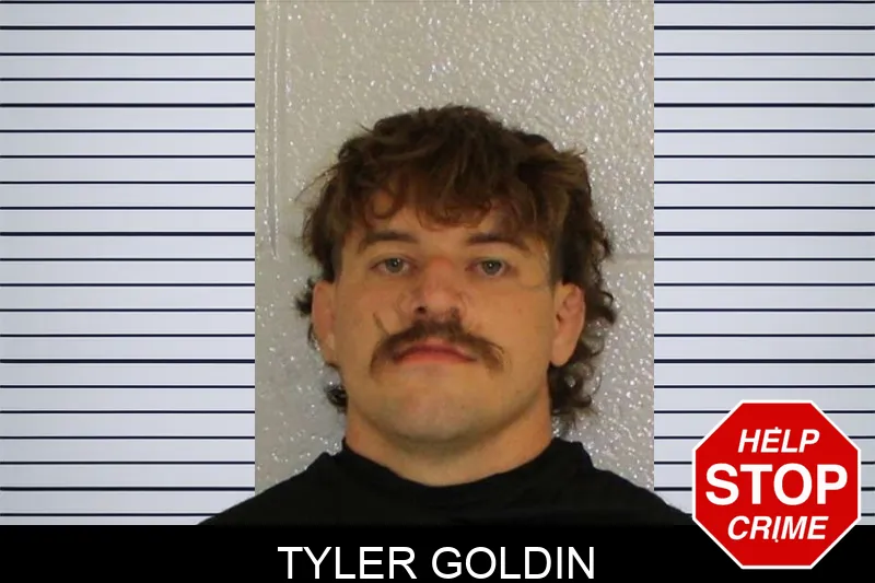 Tyler Goldin mugshot