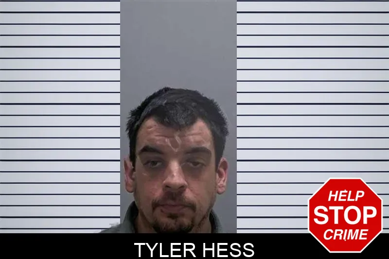 Tyler Hess Mugshots