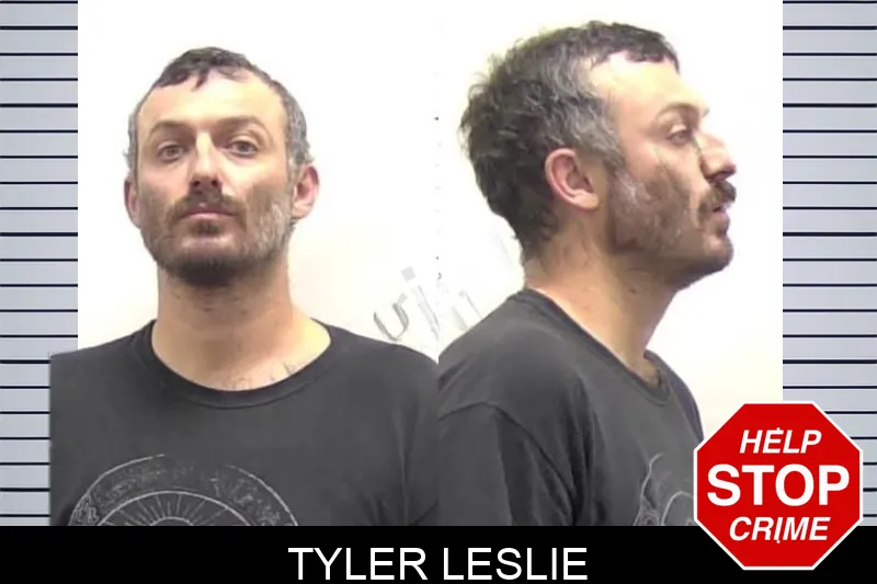 Tyler Leslie Mugshots