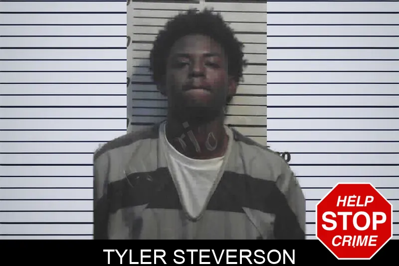 Tyler Steverson Mugshots